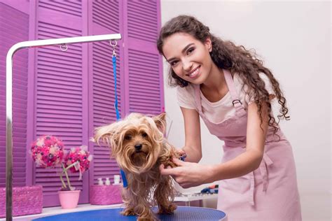 Provide professional grooming services to a variety of pets, including bathing, brushing, and. . Dog grooming vacancies